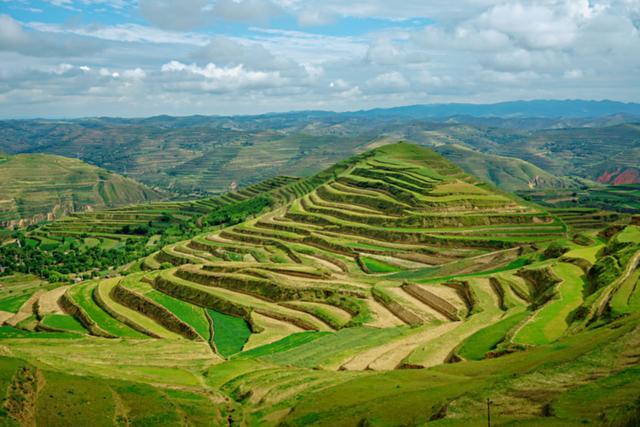 甘肃的温情日常，黄土里的故事